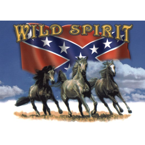 Drapeau Sudiste - Wildspirit