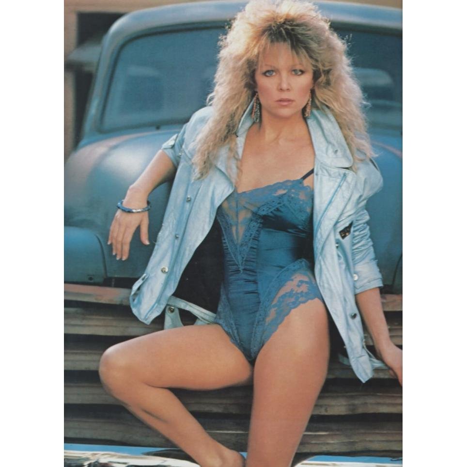 Photo sexy Pin-up Lisa Hartman