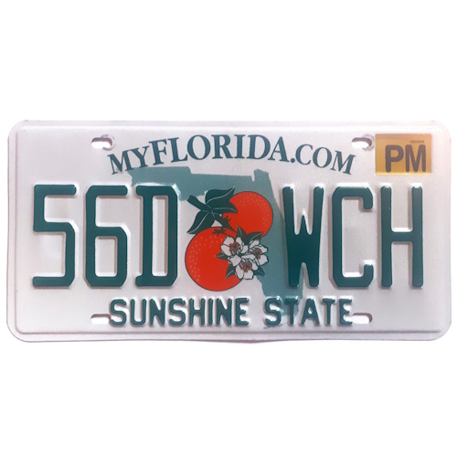 Plaque floride