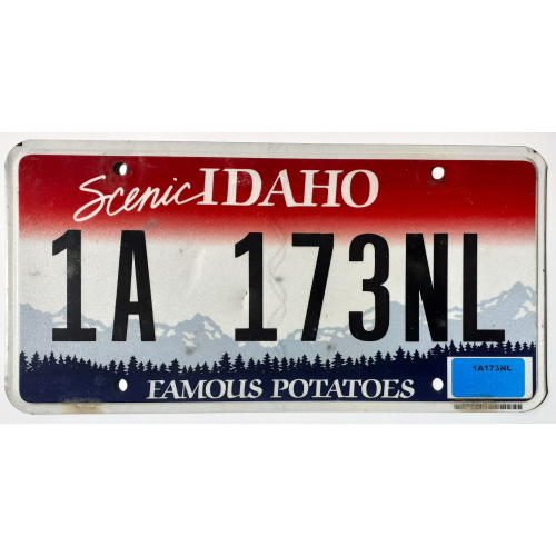 OPO 10 - Plaque D' IMMATRICULATION De Voiture USA - Réplique En Métal 30x15 Cm : Washington (8238