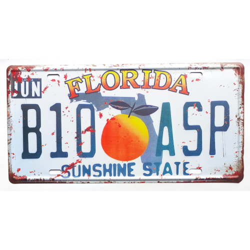 Plaque floride sunshine state