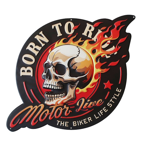 Born to ride skull