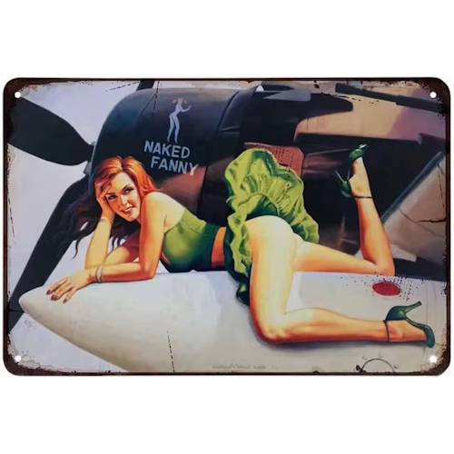Plaque pin up naked fanny